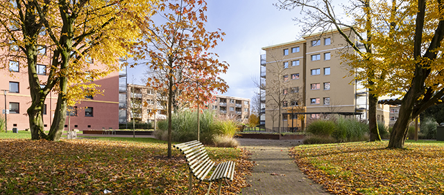 Wohnungsbau und Quartiersentwicklung